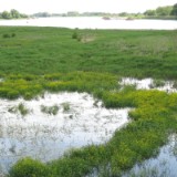 0905F 19 Stendal-Hamburg : elbe